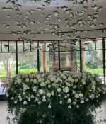 IMG_2259.jpeg