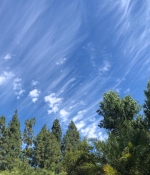 09937CB9-A761-4C6A-8503-7F8FDC75490B.jpeg