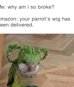 1000254012.jpg