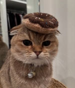 1000221659.jpg