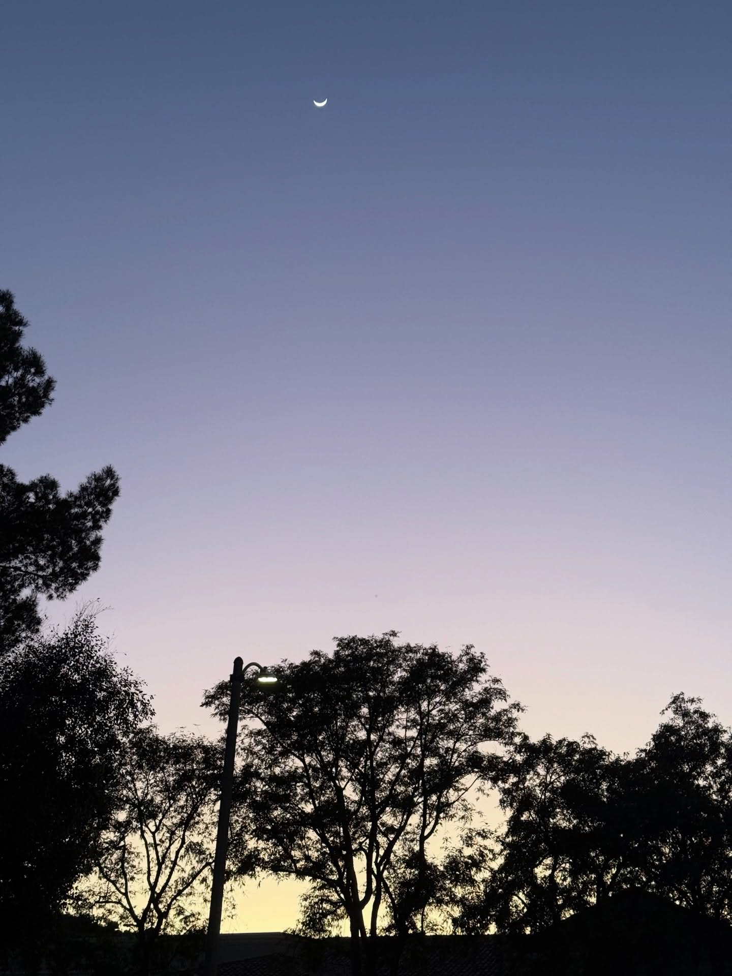 1000252259.jpg