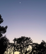1000252259.jpg