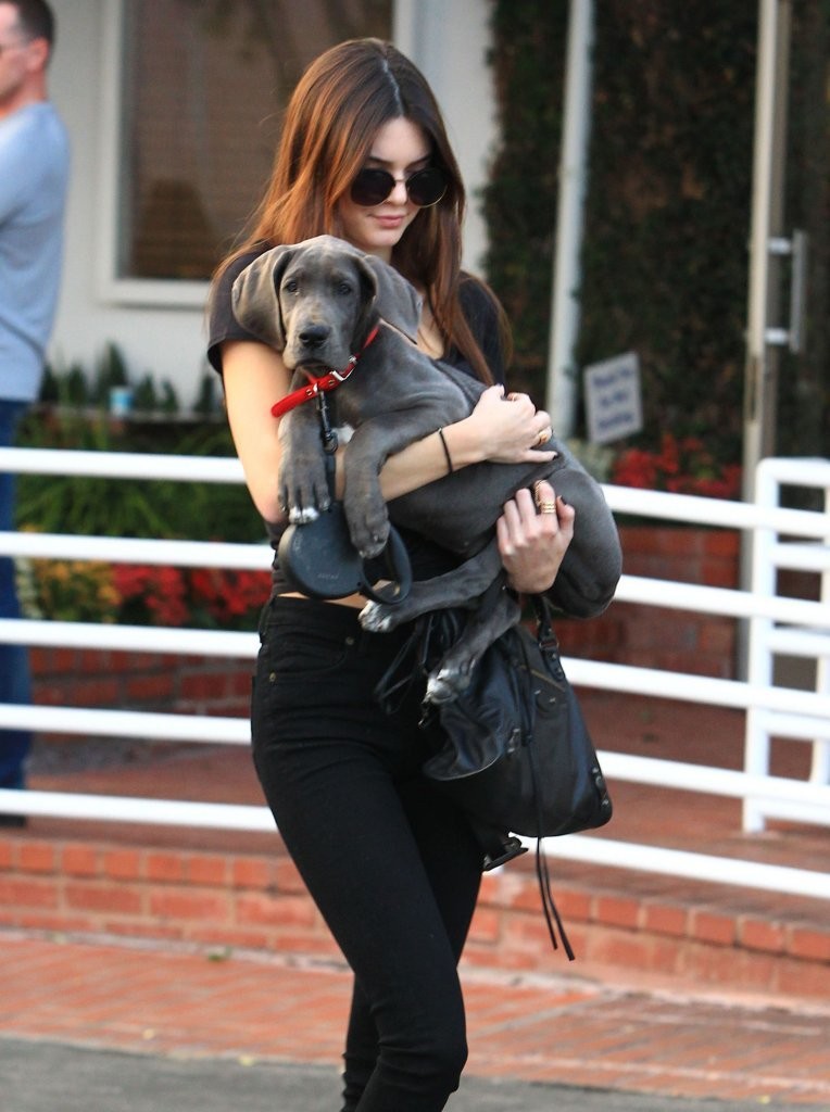 Access_Kardashian_6.jpg