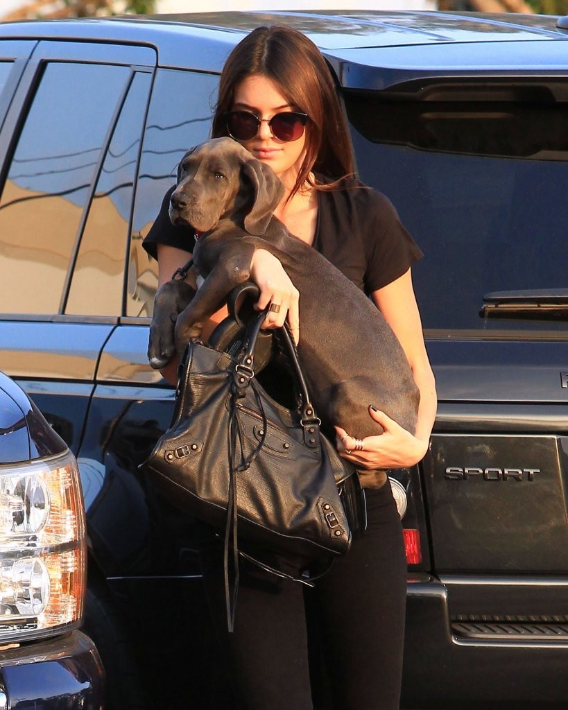Access_Kardashian_4.jpg
