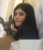 Access_Kardashian_3.jpg