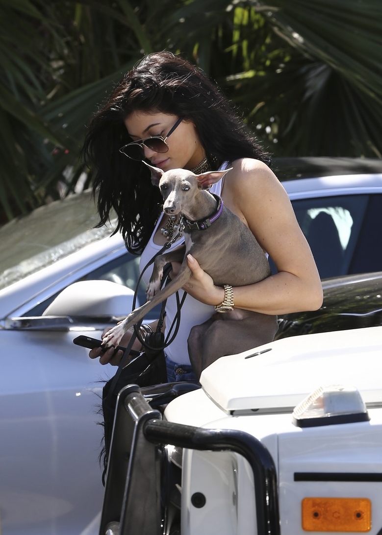 Access_Kardashian_1.jpg