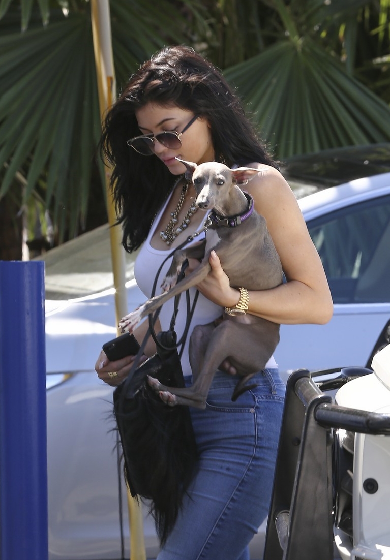 Access_Kardashian_3.jpg