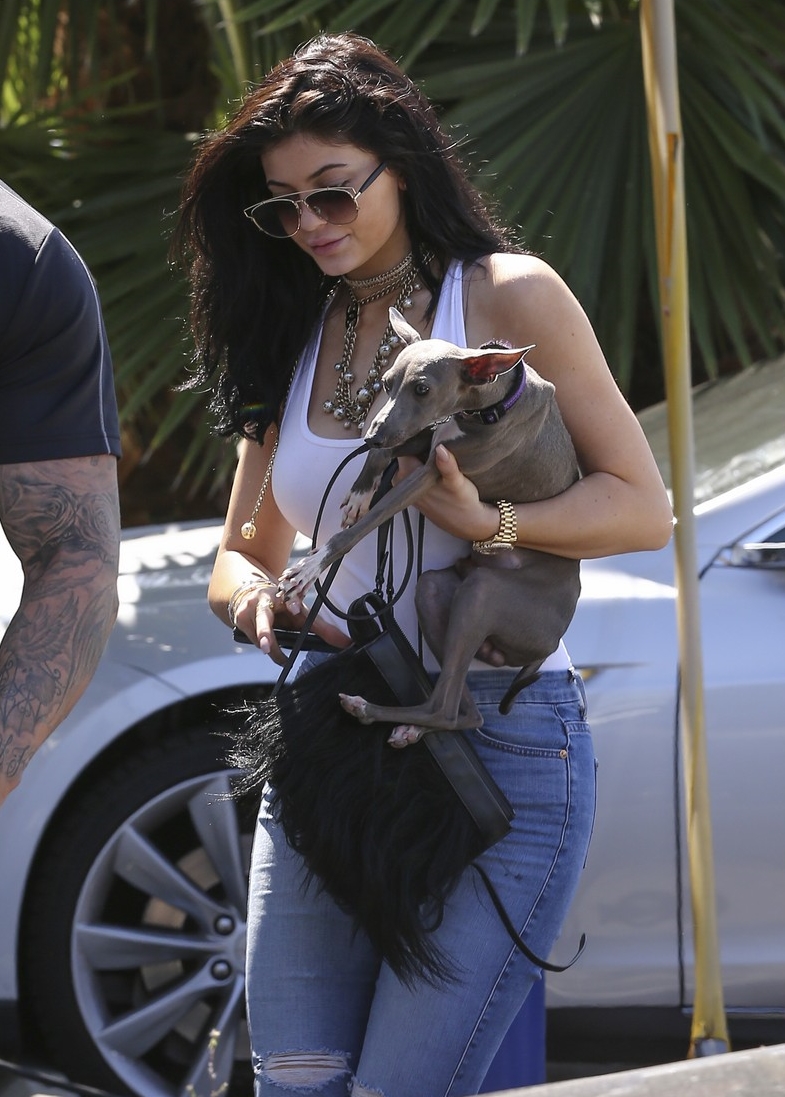 Access_Kardashian_4.jpg