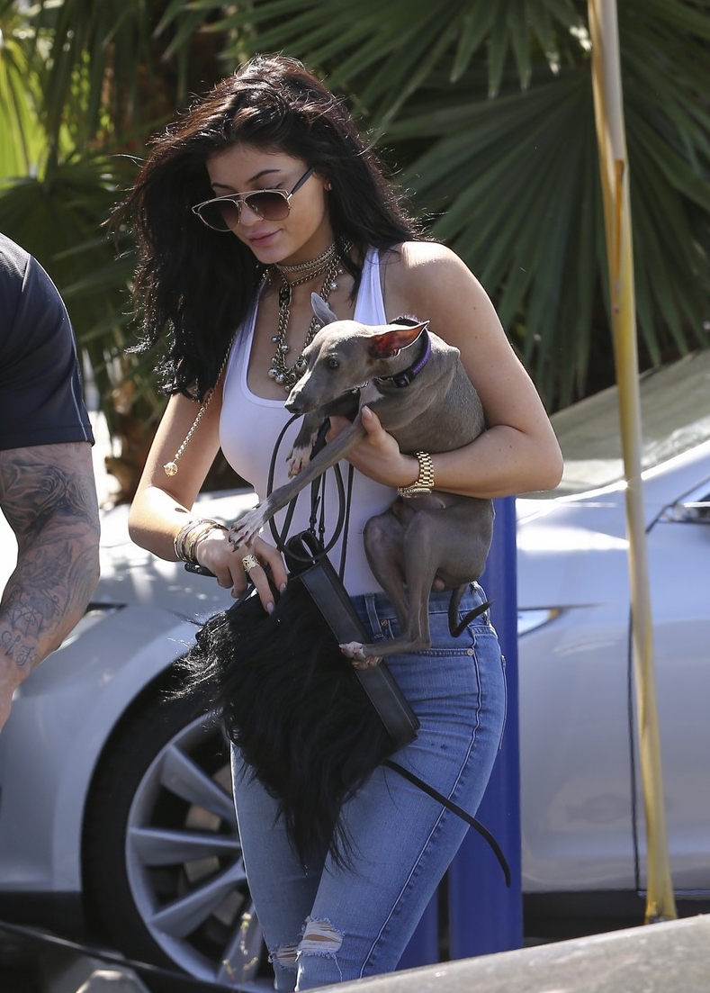 Access_Kardashian_5.jpg
