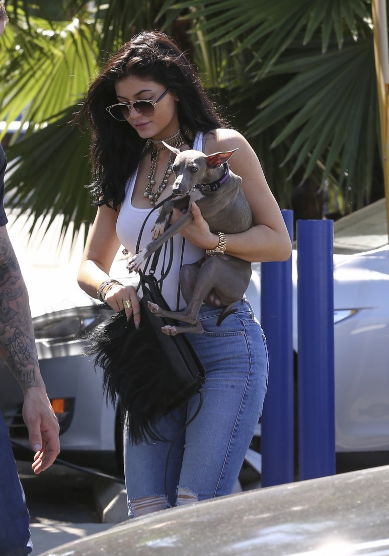 Access_Kardashian_7.jpg