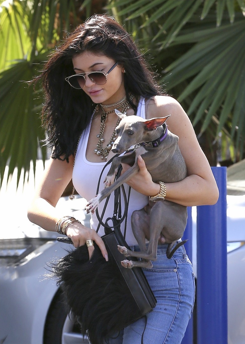 Access_Kardashian_9.jpg